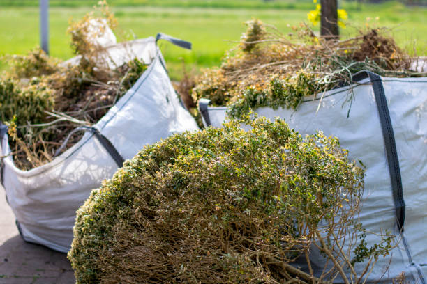 Best Yard Waste Removal  in Balfour, NC
